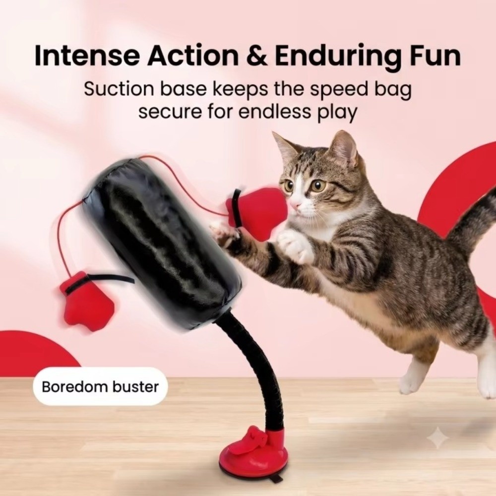 Suction Cup Base Cat Boxing To - Boxing Bag Stand review and price