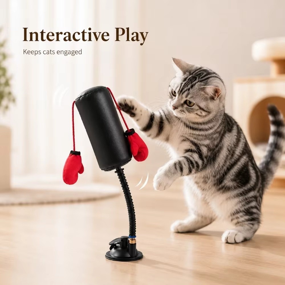 Suction Cup Base Cat Boxing To - Boxing Bag Stand review and price