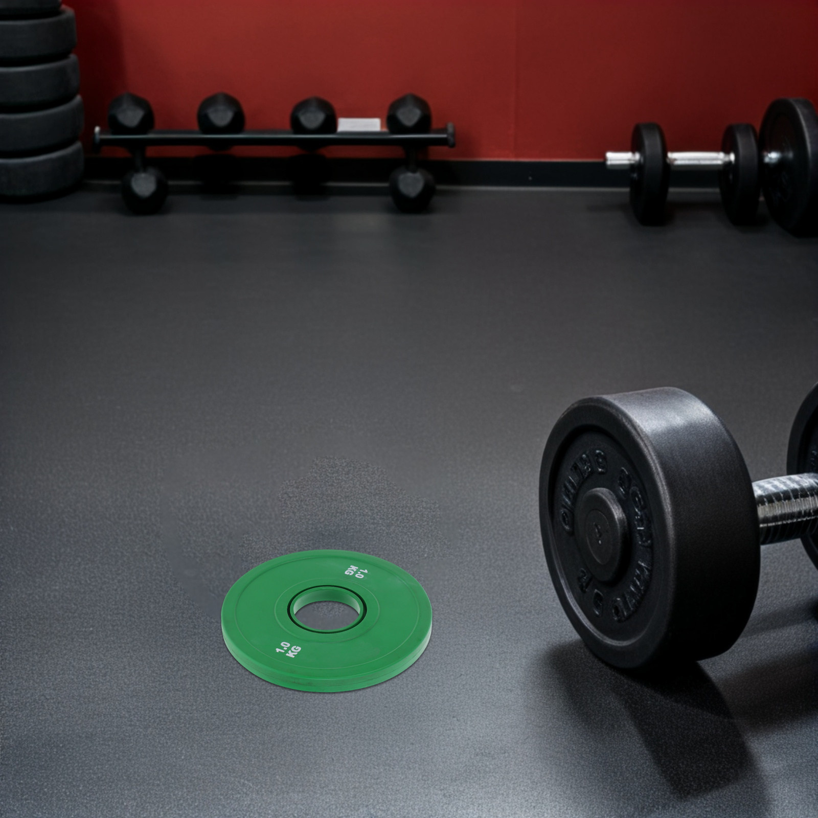 1Kg Rubber Bumper Plates for B - Weight Plate Bumper review and price