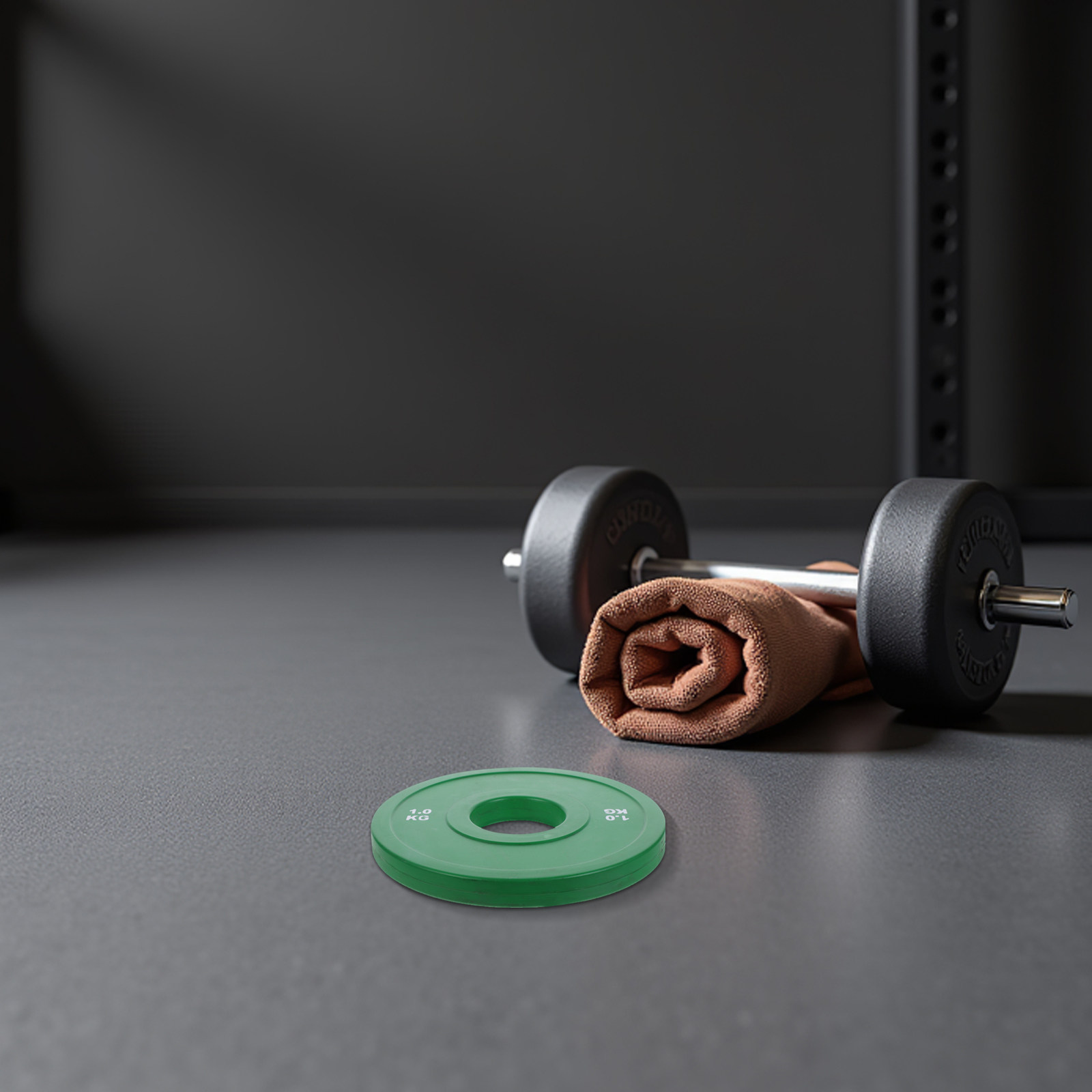 1Kg Rubber Bumper Plates for B - Weight Plate Bumper review and price